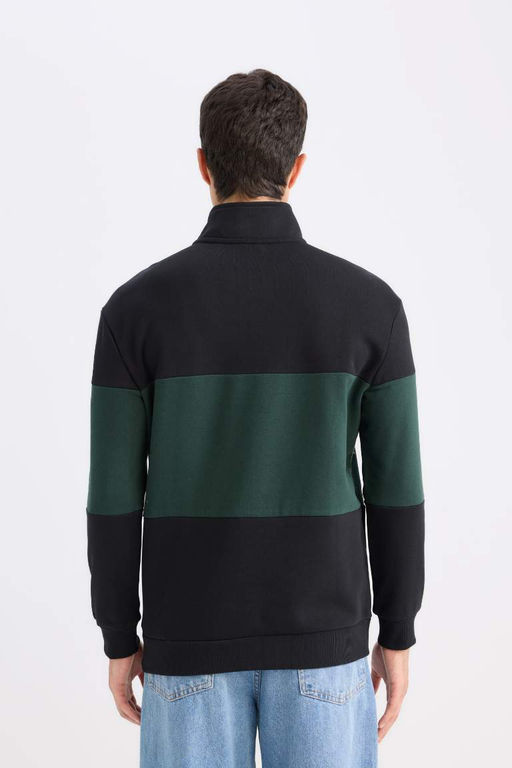 Комфортный толстый свитшот в полоску на молнии с высоким воротником и высоким воротником - Defacto фото 6