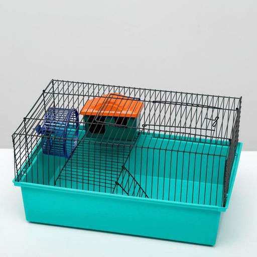 Клетка для грызунов Пижон №4, с этажом, укомплектованная, 37х26х18 см, бирюзовая  фото 3