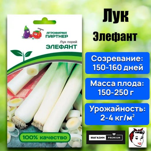 Лук порей Элефант - Партнер фото 2