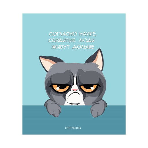 Тетрадь 48 листов в клетку Calligrata Котик Мем, обложка мелованный картон, глянцевая ламинация, выборочный твин-лак, блок офсет МИКС  фото 6
