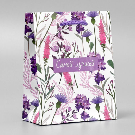 Цена за 2 шт. Пакет подарочный ламинированный, упаковка, «Самой лучшей», S 12 х 15 х 5.5 см