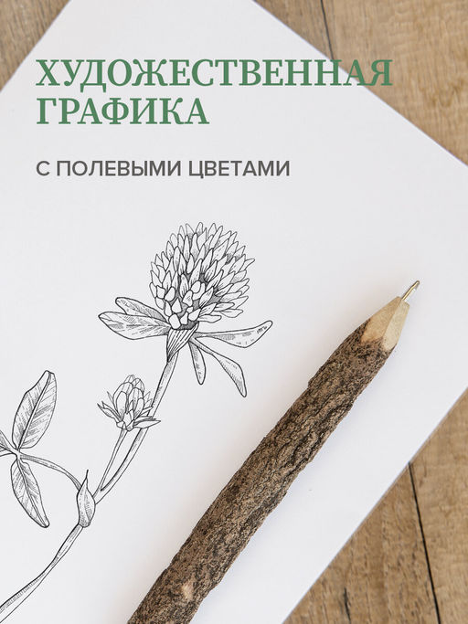 VAL CV-BC-3SR Короба для хранения, усиленные, 33*25*18,5см, набор 3 шт., CLOVER GRAPHIC, шт - Valiant фото 4