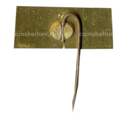 Значок Каунас