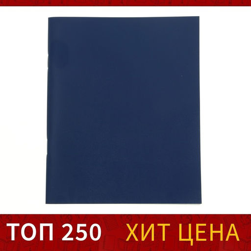 Тетрадь 48 листов в клетку Calligrata, бумвинил, блок №2, эконом, синий  фото 4