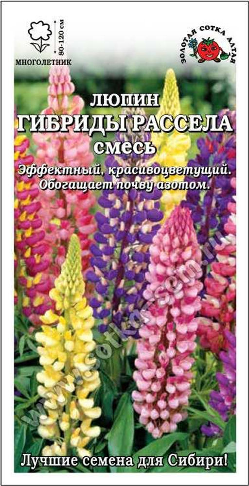 Люпин Гибриды Рассела 0,5г (Золотая сотка Алтая)