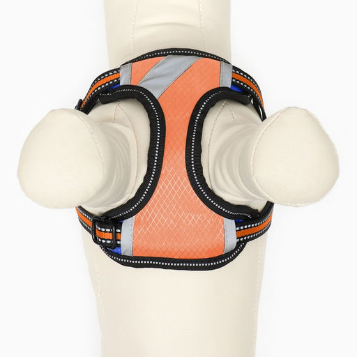 Комплект амуниции светоотражающий, размер M, ОГ 40-70 см, стропа 2 см, оранжевый - Пижон фото 6