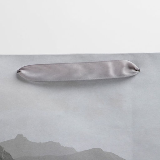 Пакет крафтовый вертикальный Мечты сбываются, L 31 40 11,5 см - Дарите счастье фото 3