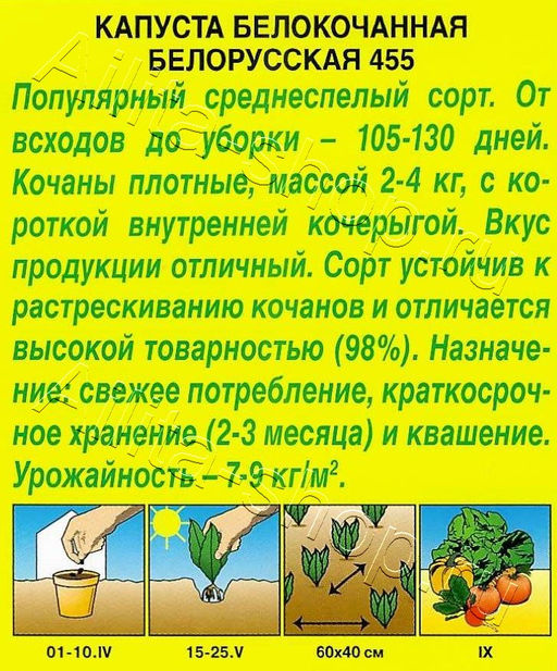 Капуста б/к Белорусская 455 0,5г (Аэлита)