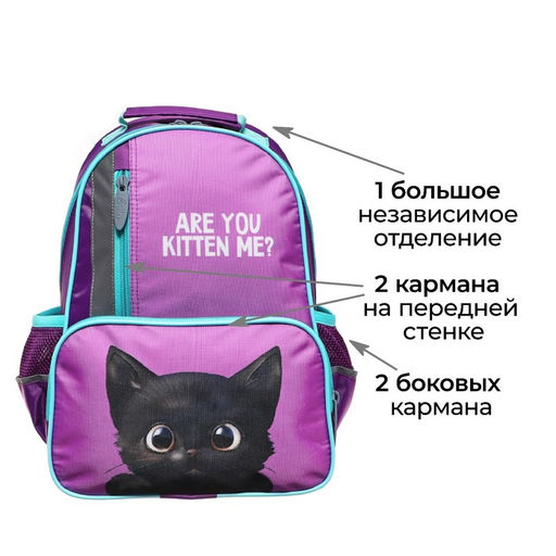 Рюкзак школьный, эргономичная спинка, 37×26×13 см «Котик чёрный»