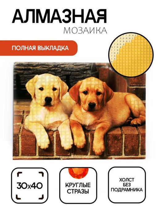Алмазная мозаика без подрамника "Два лабрадора" , 30х40 см