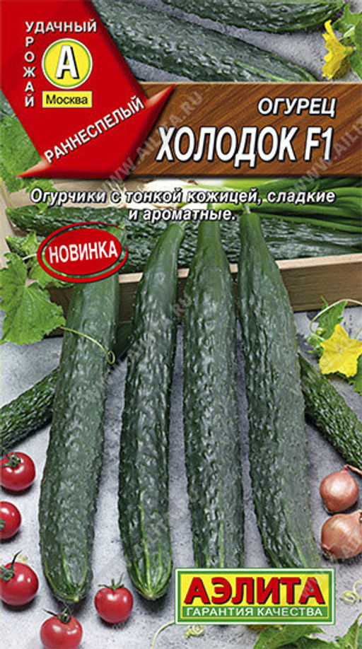 0669A Огурец китайский Холодок F1 7шт