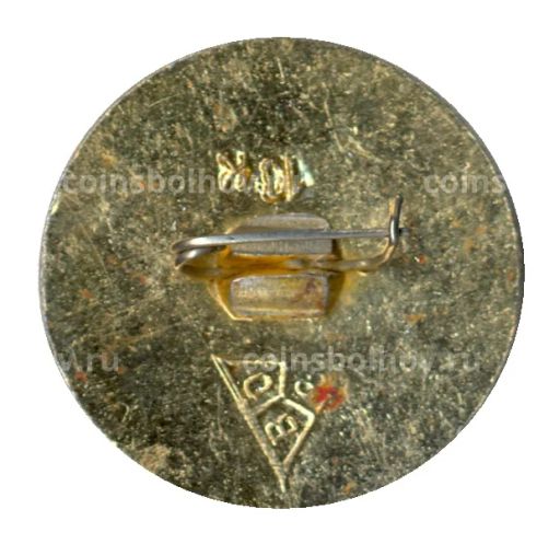 Значок Владимир