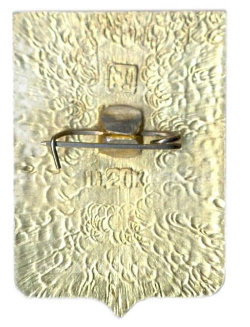 Значок Борисоглебск