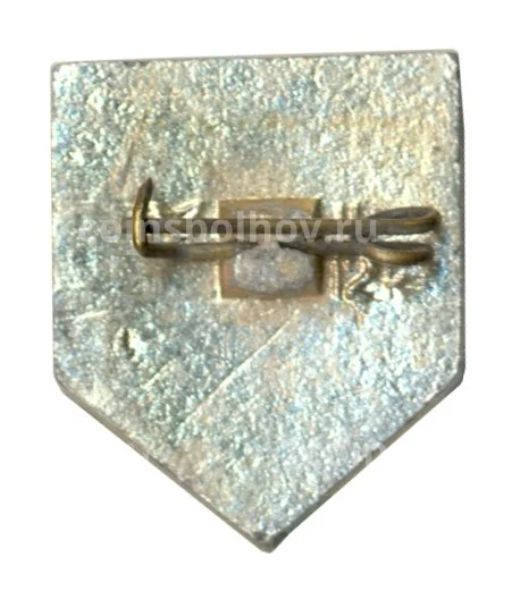 Значок Сосновка