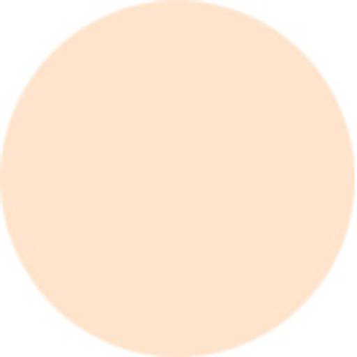 Concealing Powderfoundation Spf17 \ Concealing Powderfoundation Spf17 (Молочная бледность) - Anna lotan фото 3