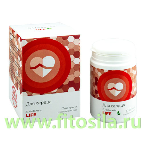 Галлерия меллонелла - МАКСИ (G.mellonella - MAXI) комплекс для глаз 60 гранул по 0,75 ЖИВА  фото 13