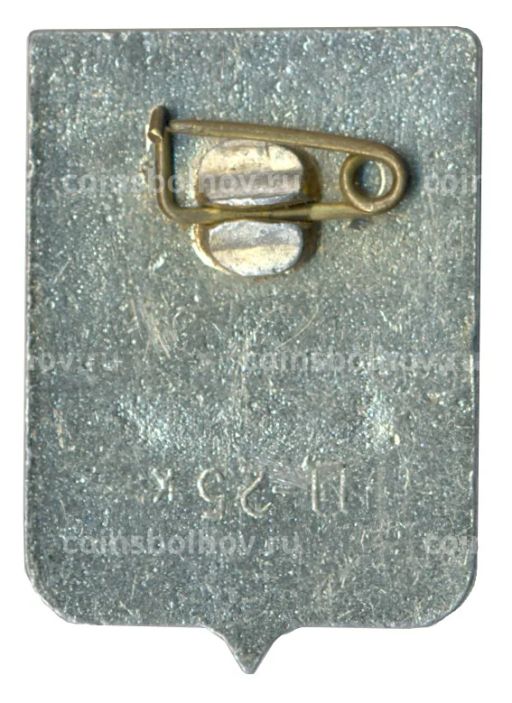 Значок Кострома