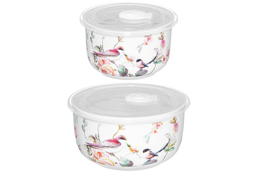 Набор 2 салатников 500 мл 13,5*13,5*7 см + 300 мл 10,5*10,5*6,5 см Певчие птички с крышк. NEW BONE - Elan gallery фото 5