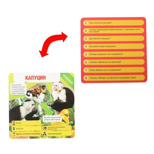 Игра-викторина Коробочка знаний. Животные всего мира, 7+ - Лас играс фото 4