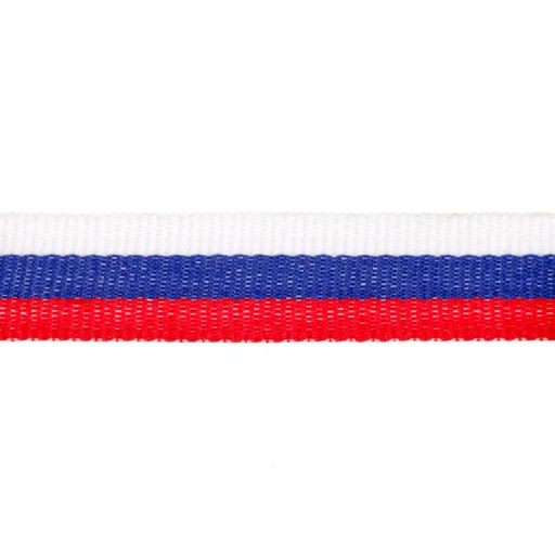 Медаль призовая серебро 060, d=5 см, 2 место, с лентой