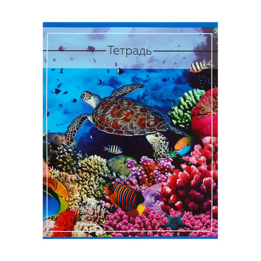 Комплект тетрадей из 5 шт (4 разные + 1 повторяющаяся МИКС), 36 листов, клетка, Океан, обложка мелованная бумага, блок №2, белизна 75% (серые листы) - Calligrata фото 6