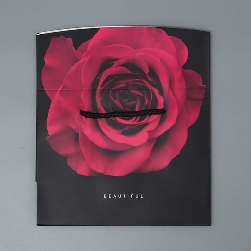 Цена за 2 шт. Пакет—коробка, подарочная упаковка, «Beautiful», 23 х 18 х 11 см