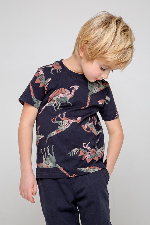 КР 301858/черный,динозавры фуфайка для мал