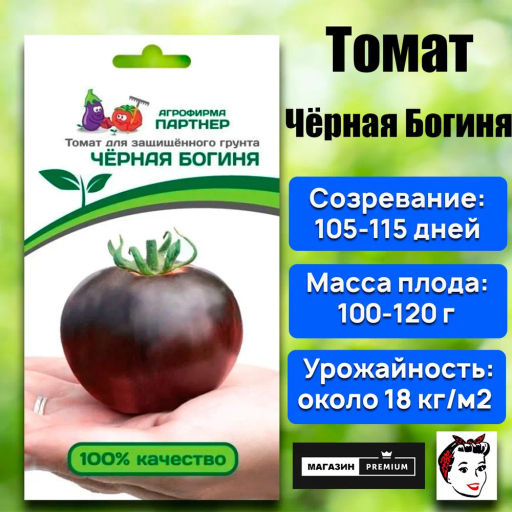 Томат Чёрная Богиня - Партнер фото 2