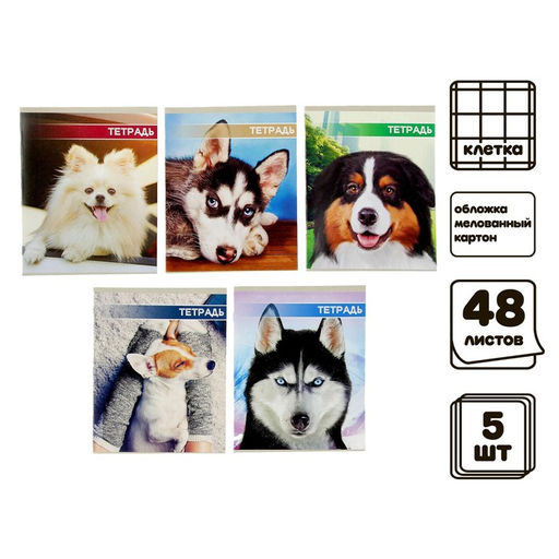 Цена за 2 шт. Комплект тетрадей из 5 штук, 48 листов в клетку Calligrata «Собачьи мордочки», обложка мелованный картон, блок №2, белизна 75% (серые листы)