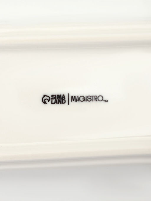 Набор для специй Magistro "Бланш"  14х5,5х 7см