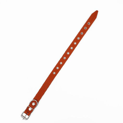 Ошейник кожаный однослойный, безразмерный, 56 х 2,5 см, ОШ 17-44 см, оранжевый - Пижон фото 3
