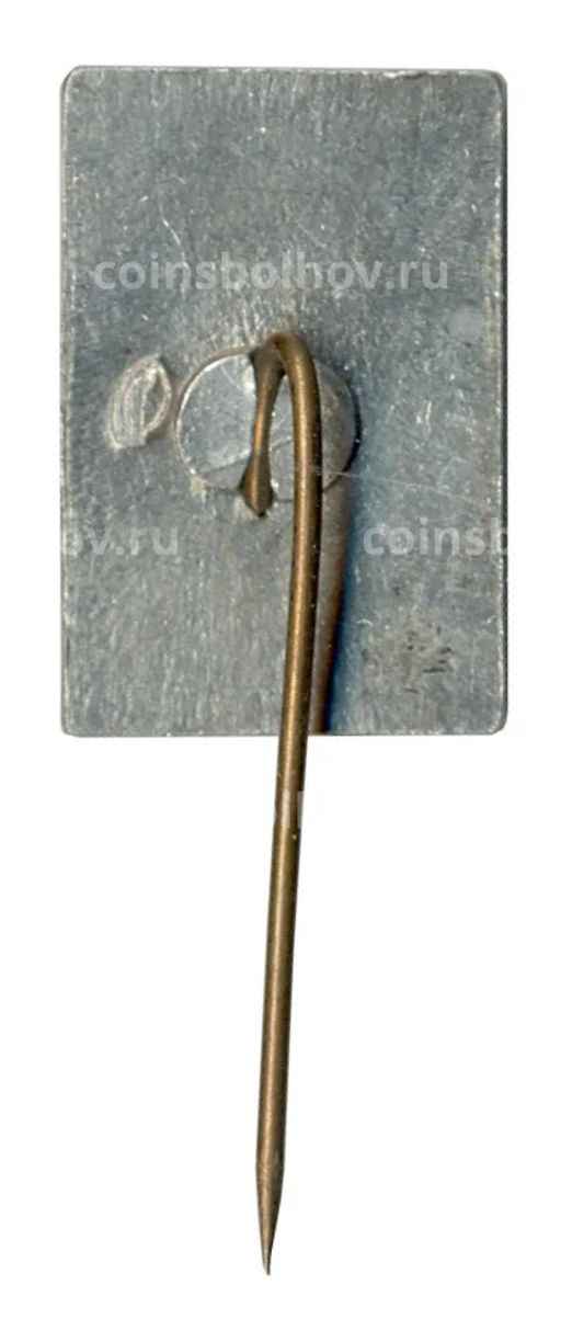 Значок Шушенское