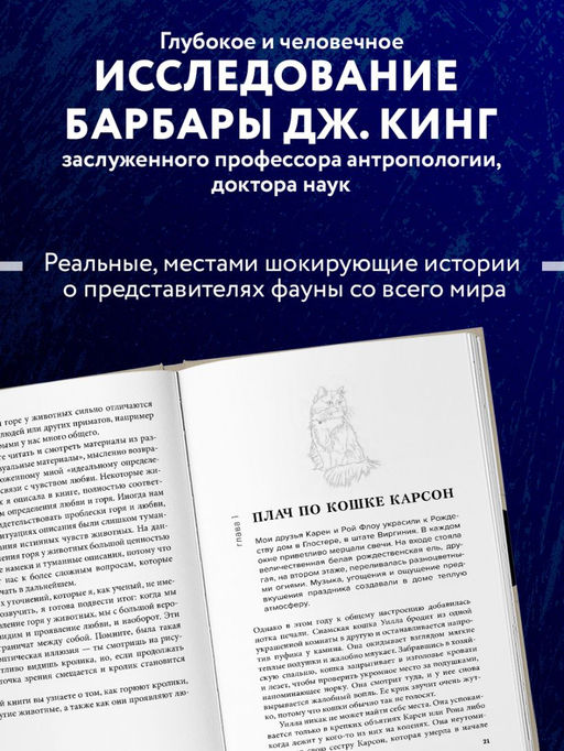 Как животные скорбят. Что чувствуют кошки, слоны, дельфины и другие, теряя близких