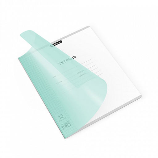 Цена за 10 шт. Тетрадь школьная ученическая с пластиковой обложкой на скобе ErichKrause Классика CoverPrо fizzy, Pastel, розовый, А5+, 12 листов, клетка фото 21