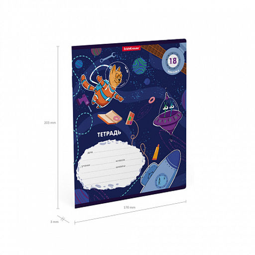 Цена за 10 шт. Тетрадь школьная ученическая ErichKrause Коты в космосе, 18 листов, линейка (в плёнке по 10 шт.)_MIX-PACK фото 10