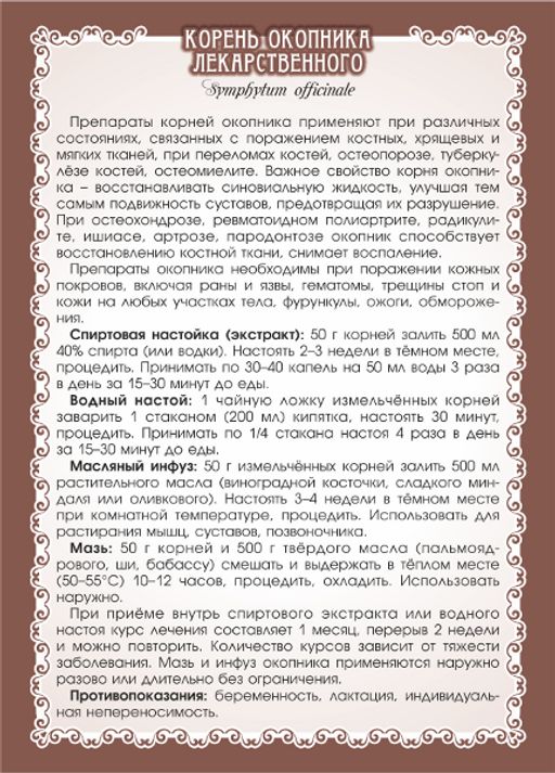 2 шт. Окопник лекарственный (корень) - Мариславна фото 4