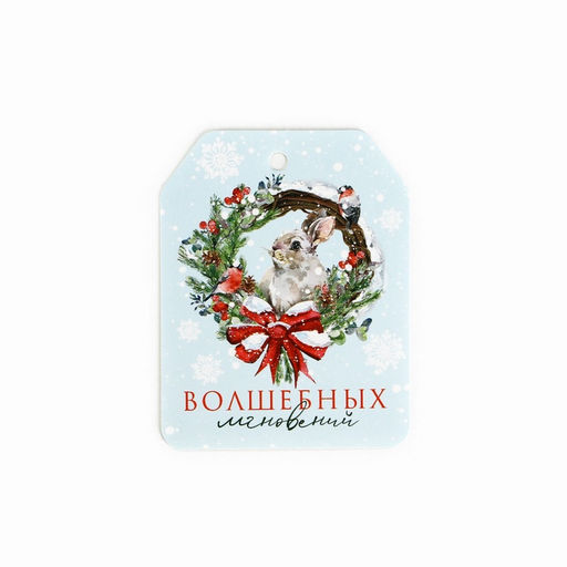 Цена за 10 шт. Шильдик новогодний на подарок «Верь в чудеса», набор 6 штук, 16×24 см