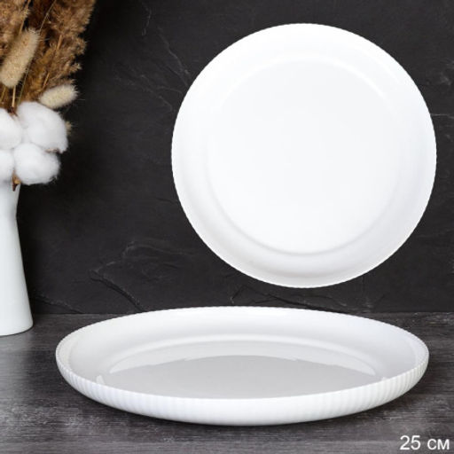 Цена за 1 шт. Тарелка 254 мм Вертикаль / FLSLQP100 (WHITE) /уп 36/ - ГалеонТрейд фото 4