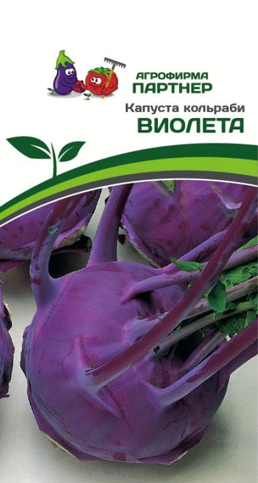 Капуста кольраби Виолета