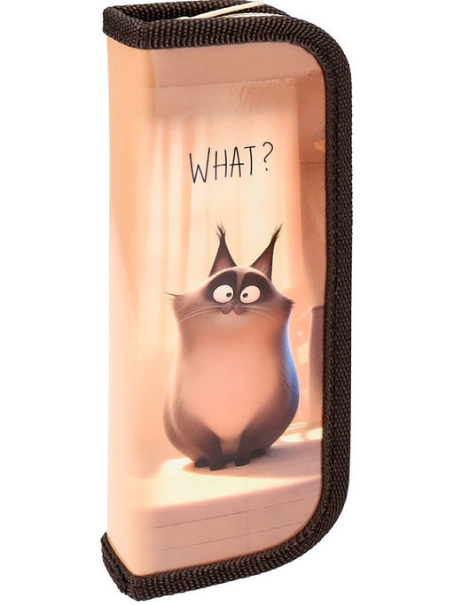 Цена за 2 шт. Пенал 1 отд. 190*65мм, Profit "Озадаченный котик" (ПН-8081) ламинация