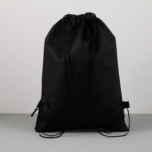 Сумка для обуви T-REX, нетканное полотно, размер 41х31 см - Artfox study фото 5