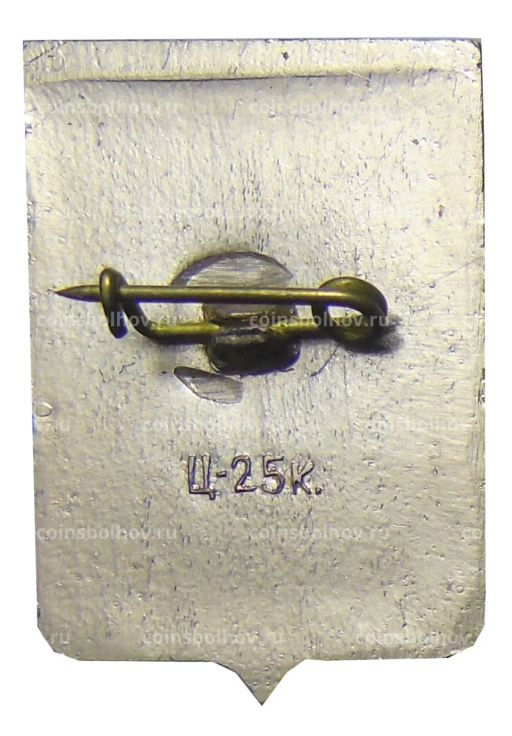 Значок Боровичи