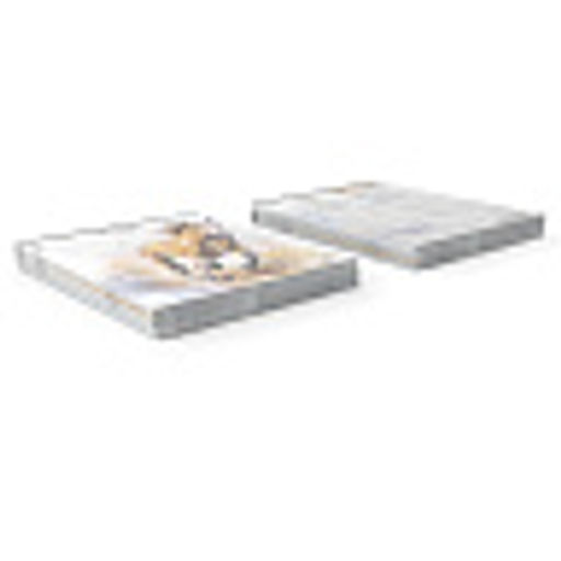 АКЦИЯ Цена за 10 шт. Тетрадь школьная ученическая ErichKrause Wild Mane, 18 листов, линейка (в плёнке по 10 шт.)_MIX-PACK  фото 9