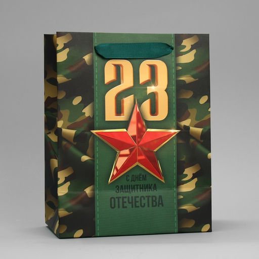 Цена за 2 шт. Пакет подарочный ламинированный, упаковка, С 23 февраля, MS 18?23?10 см