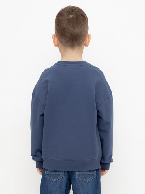 КР 302392/грозовая туча джемпер (свитшот) для мал