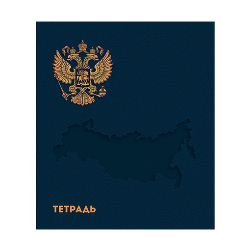 Тетрадь 48 листов в клетку Calligrata ГосСимволика, обложка мелованный картон, ТВИН-лак, тиснение фольгой, блок офсет МИКС  фото 4