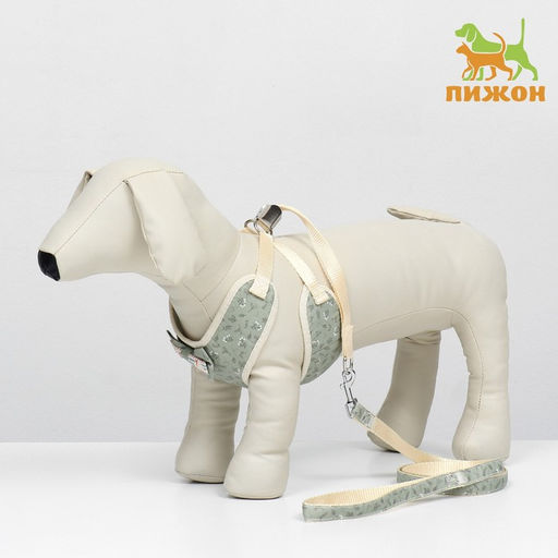 Комплект с мягкой шлейкой Веточки, размер М, поводок 120 х 1,5 см, ОГ 34-66 см, зеленый