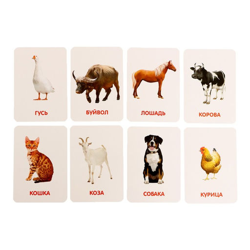 Большой развивающий набор, от 1 года - Iq-zabiaka фото 15