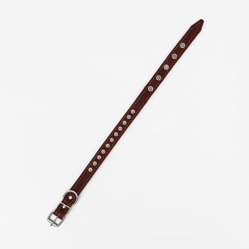 Ошейник кожаный на синтепоне украшенный, 45 х 2 см, ОШ 25-35 см, коричневый - Пижон фото 3
