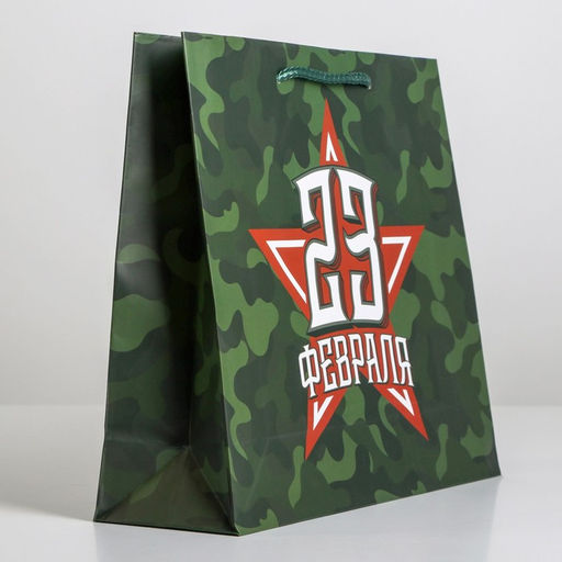 Цена за 2 шт. Пакет подарочный ламинированный, упаковка, «С 23 февраля», ML 25×21×8 см